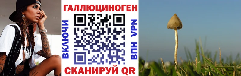 площадка какой сайт Верхний Уфалей Псилоцибиновые грибы MAGIC MUSHROOMS